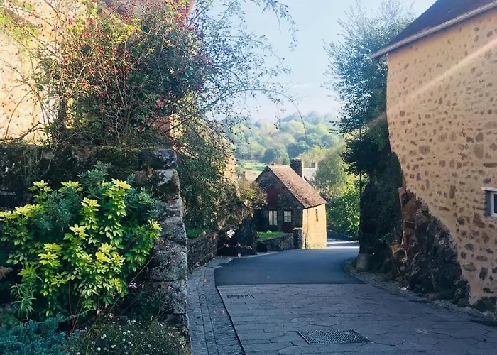 Сasa de vacaciones Maison La Cassine Saint-ceneri-le-gerei Moulins-le-Carbonnel